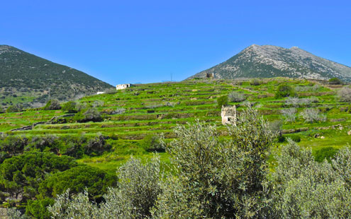 Dovecotes in Sifnos